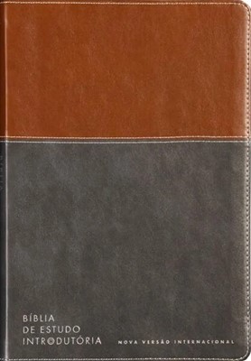 Bíblia de estudo introdutória