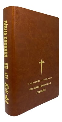 Bíblia Sagrada com harpa cristã e letra gigante