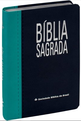 Bíblia Sagrada NAA