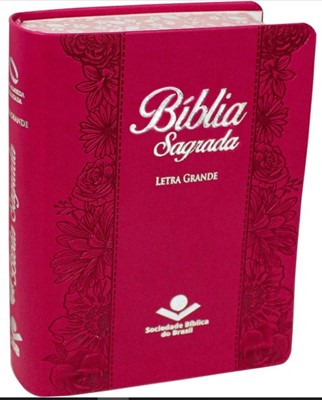 Bíblia Sagrada NAA Letra Grande