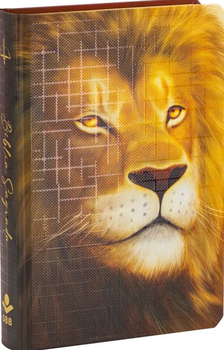 Bíblia Sagrada com letra grande