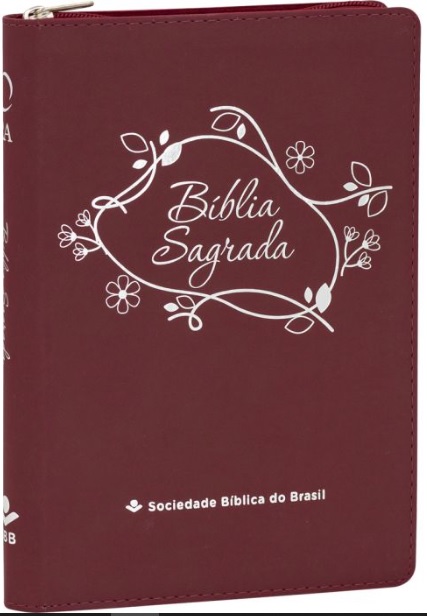 Bíblia Sagrada RA065LGeZ