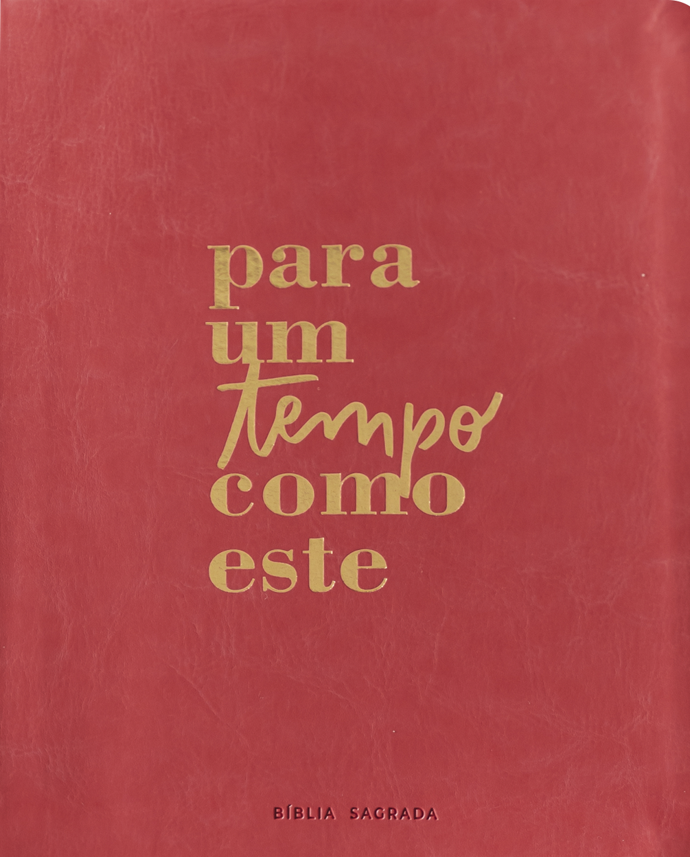 Bíblia Mulheres com espaço para anotações