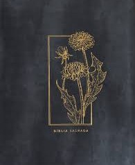 Bíblia Mulheres com espaço para anotações