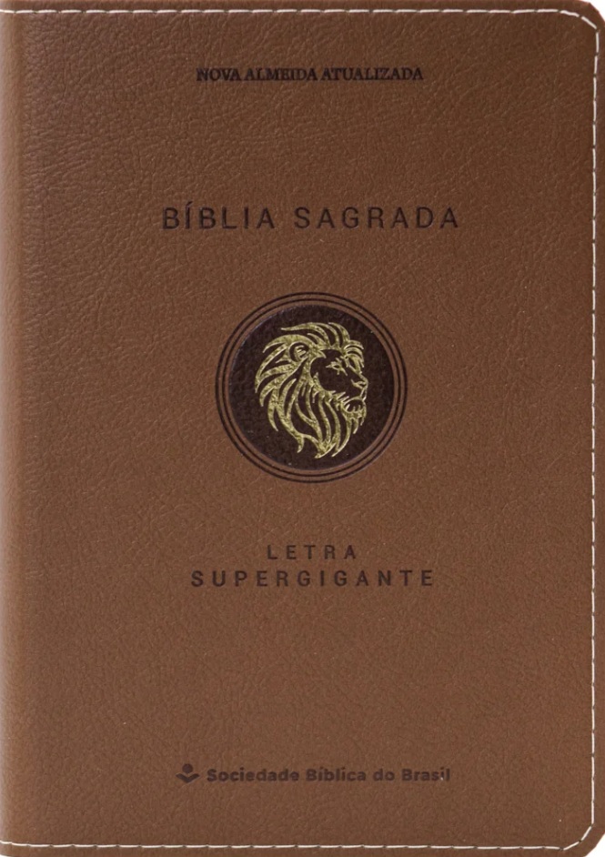 Bíblia Sagrada NAA com letra supergigante