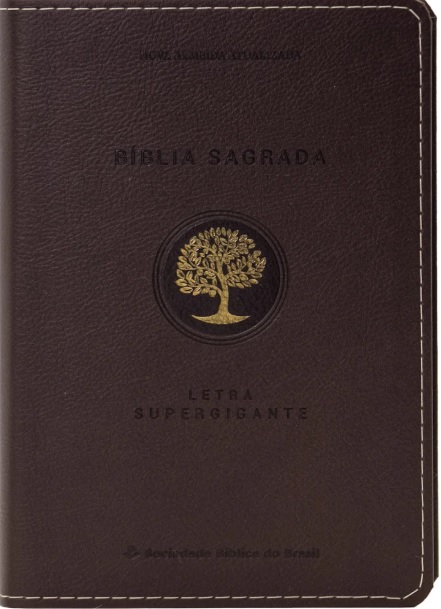 Bíblia Sagrada NAA Letra Supergigante