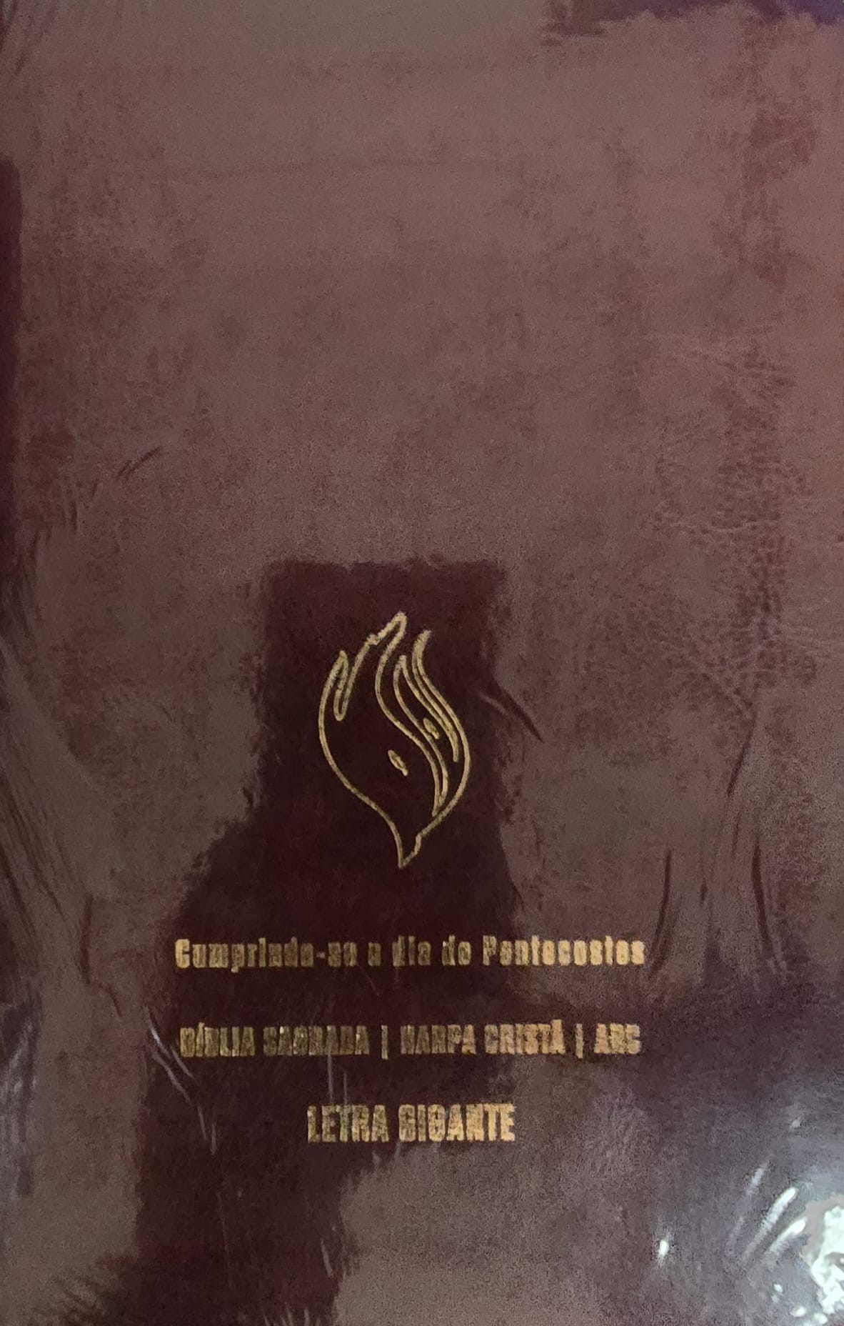 Bíblia Sagrada com harpa cristã e letra gigante