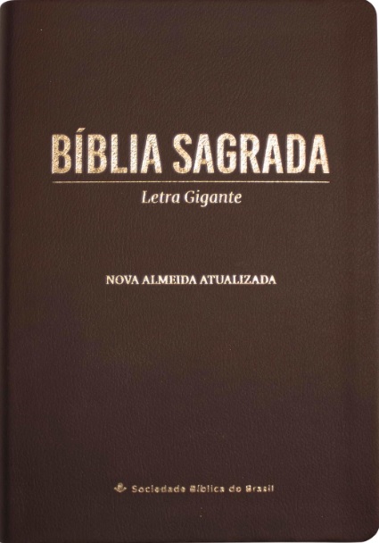 Bíblia Sagrada NAA Letra Gigante
