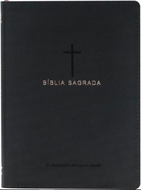 Bíblia Sagrada NAA Slim