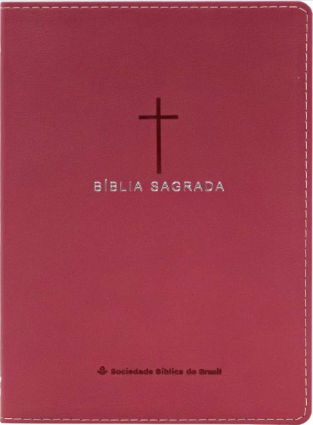 Bíblia Sagrada NAA Slim
