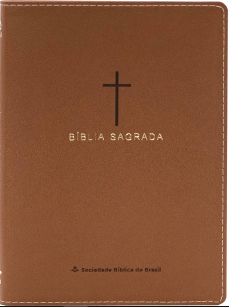 Bíblia Sagrada NAA Slim