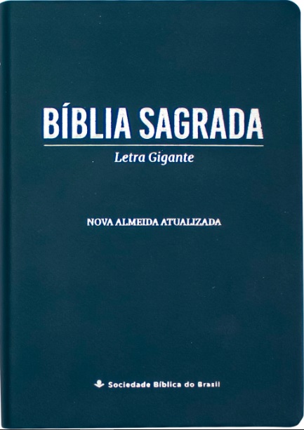 Bíblia Sagrada NAA Letra Gigante