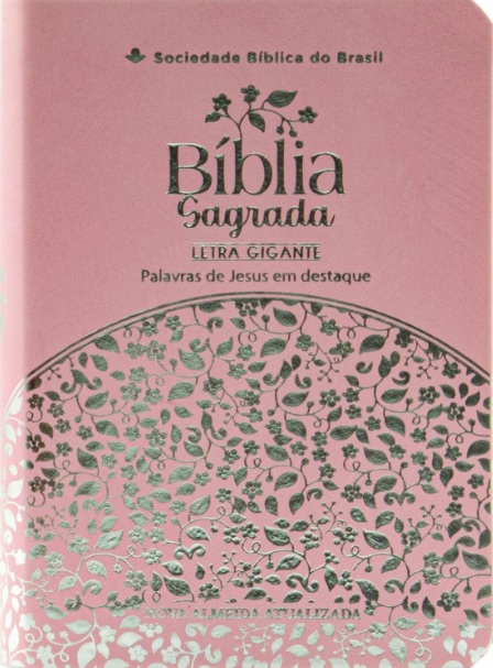 Bíblia Sagrada NAA com letra gigante e palavras de Jesus em vermelho