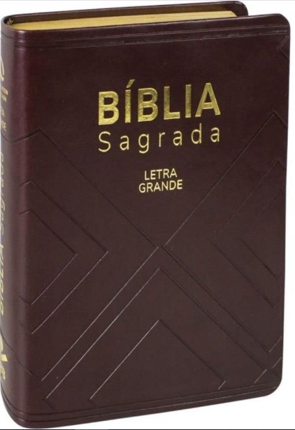 Bíblia Sagrada NAA com letra grande