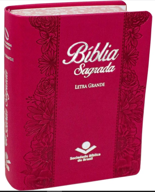 Bíblia Sagrada NAA Letra Grande