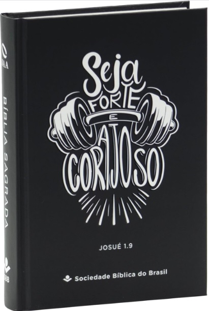 Bíblia Sagrada NAA com letra maior
