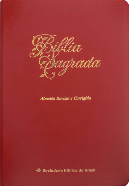 Bíblia Sagrada ARC 065 TI LGi LV