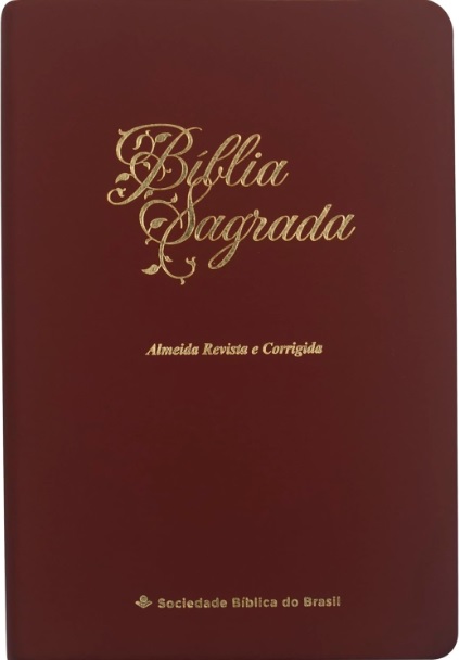 Bíblia Sagrada com letra grande