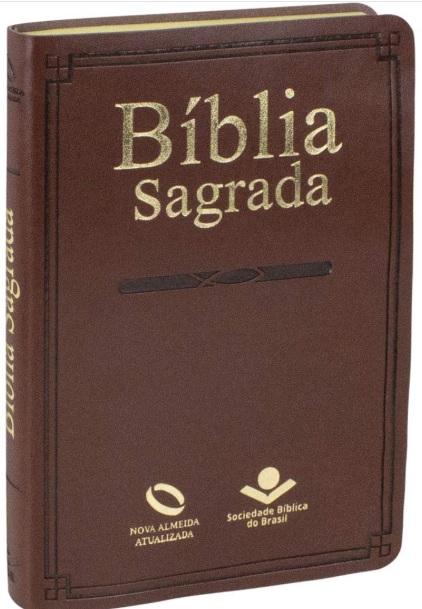 Bíblia Sagrada NAA